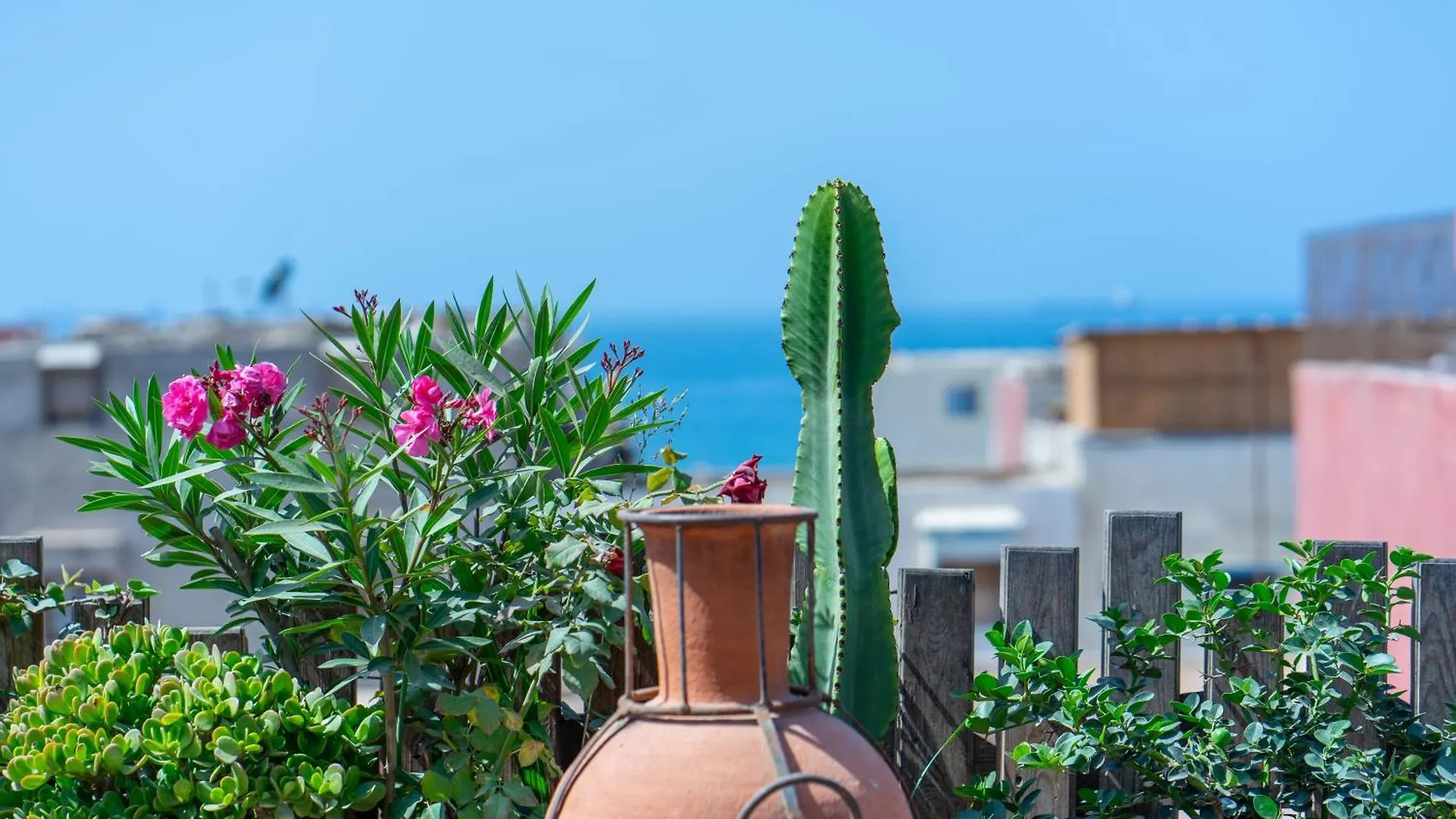 Bed and Breakfast Anza Surfhouse Agadir